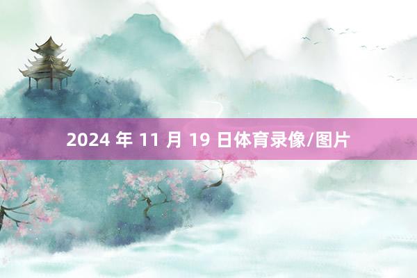 2024 年 11 月 19 日体育录像/图片