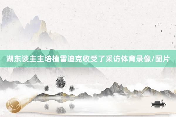湖东谈主主培植雷迪克收受了采访体育录像/图片