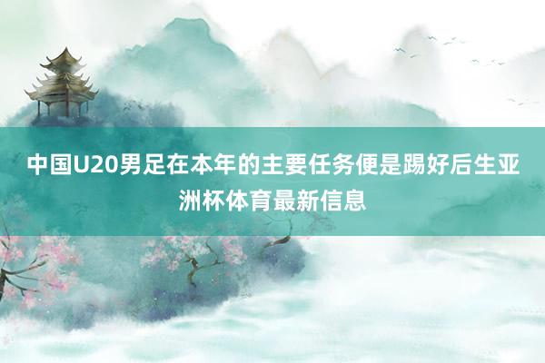 中国U20男足在本年的主要任务便是踢好后生亚洲杯体育最新信息