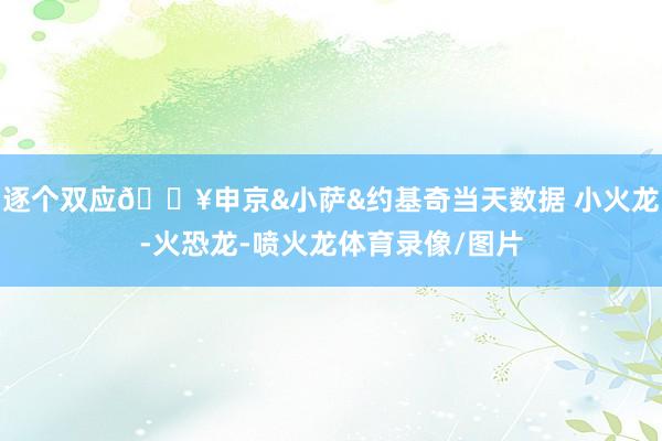 逐个双应🔥申京&小萨&约基奇当天数据 小火龙-火恐龙-喷火龙体育录像/图片