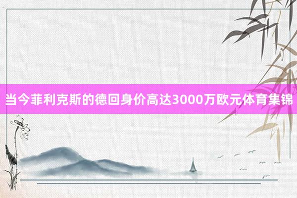 当今菲利克斯的德回身价高达3000万欧元体育集锦