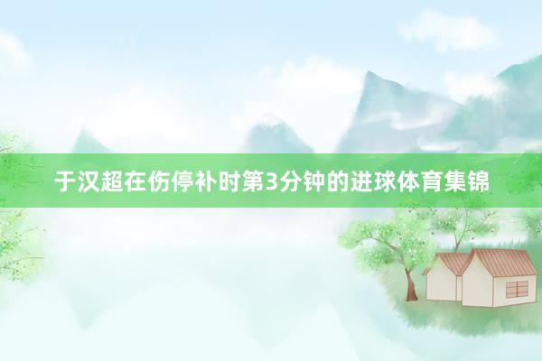 于汉超在伤停补时第3分钟的进球体育集锦