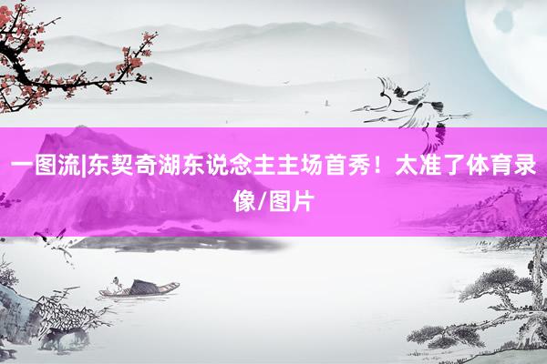 一图流|东契奇湖东说念主主场首秀！太准了体育录像/图片