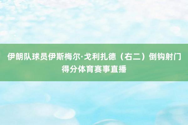 伊朗队球员伊斯梅尔·戈利扎德（右二）倒钩射门得分体育赛事直播