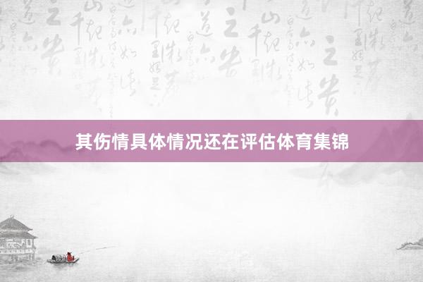 其伤情具体情况还在评估体育集锦