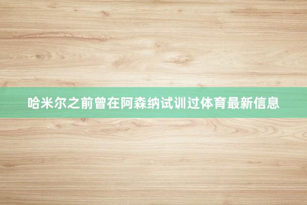 哈米尔之前曾在阿森纳试训过体育最新信息