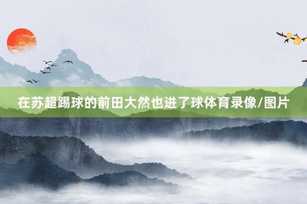 在苏超踢球的前田大然也进了球体育录像/图片