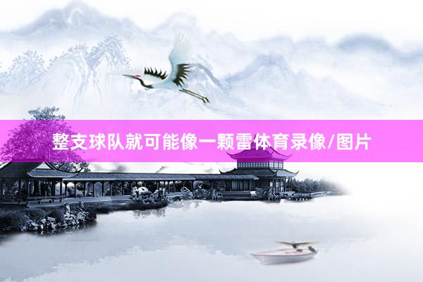 整支球队就可能像一颗雷体育录像/图片