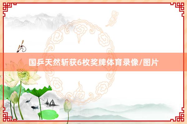 国乒天然斩获6枚奖牌体育录像/图片