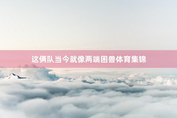 这俩队当今就像两端困兽体育集锦