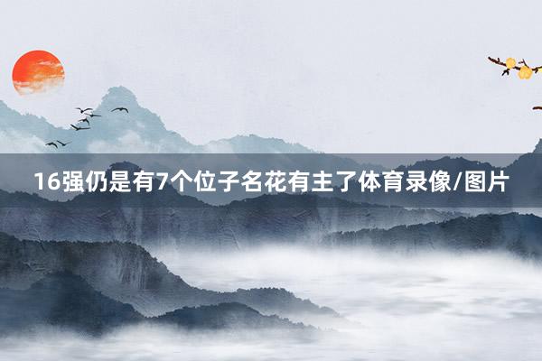 16强仍是有7个位子名花有主了体育录像/图片