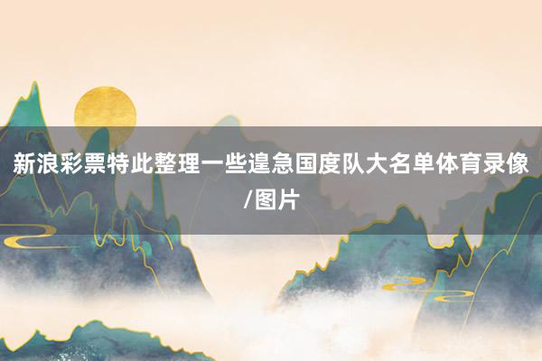 新浪彩票特此整理一些遑急国度队大名单体育录像/图片