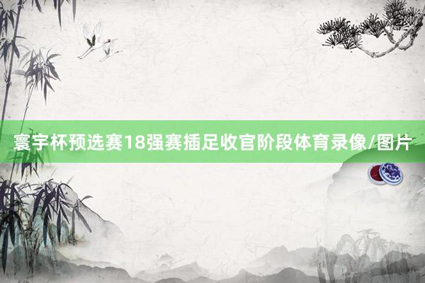 寰宇杯预选赛18强赛插足收官阶段体育录像/图片