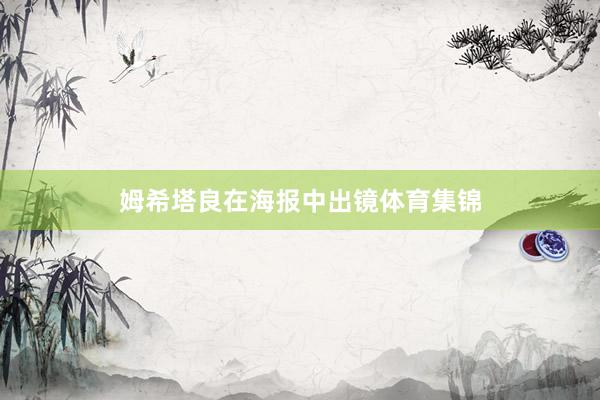 姆希塔良在海报中出镜体育集锦
