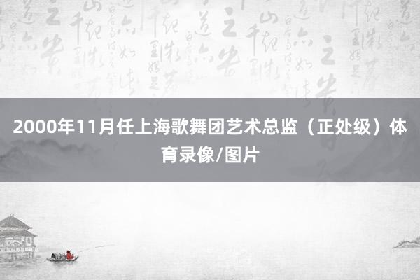 2000年11月任上海歌舞团艺术总监（正处级）体育录像/图片