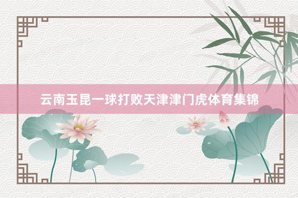 云南玉昆一球打败天津津门虎体育集锦