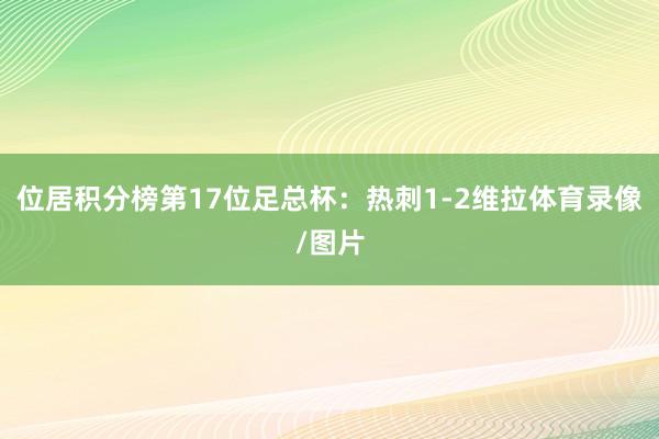 位居积分榜第17位足总杯：热刺1-2维拉体育录像/图片