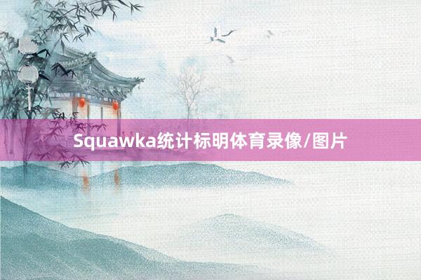 Squawka统计标明体育录像/图片