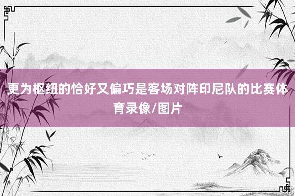 更为枢纽的恰好又偏巧是客场对阵印尼队的比赛体育录像/图片