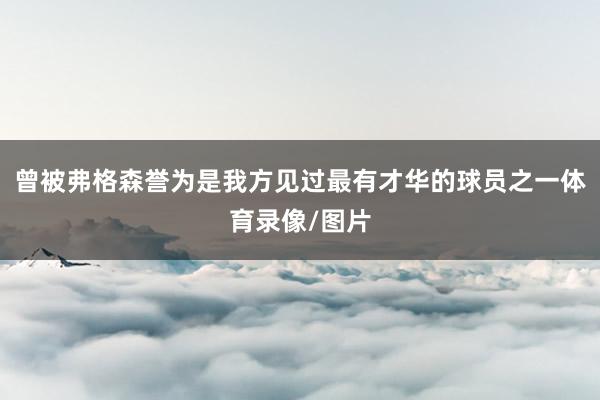 曾被弗格森誉为是我方见过最有才华的球员之一体育录像/图片