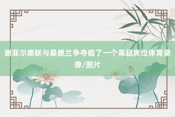 谢菲尔德联与桑德兰争夺临了一个英超席位体育录像/图片