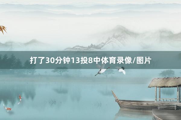 打了30分钟13投8中体育录像/图片