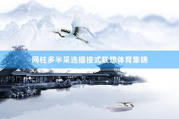 网柱多半采选插接式联想体育集锦