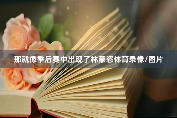 那就像季后赛中出现了林豪恣体育录像/图片