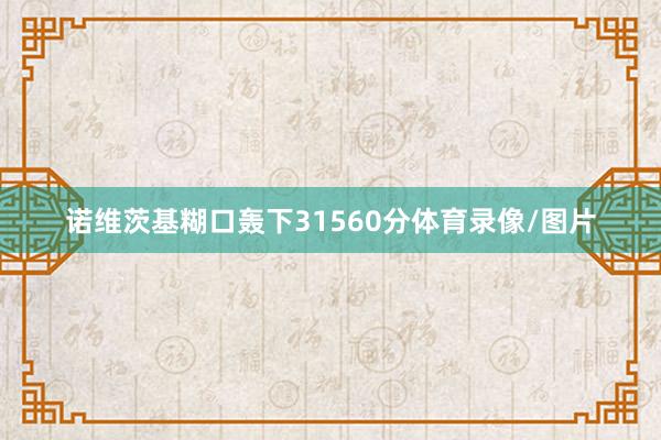 诺维茨基糊口轰下31560分体育录像/图片