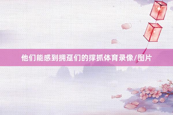 他们能感到拥趸们的撑抓体育录像/图片