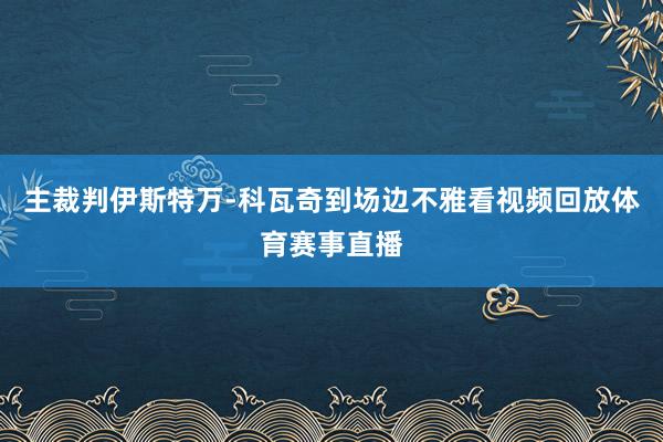 主裁判伊斯特万-科瓦奇到场边不雅看视频回放体育赛事直播