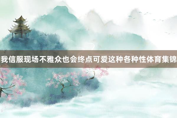 我信服现场不雅众也会终点可爱这种各种性体育集锦
