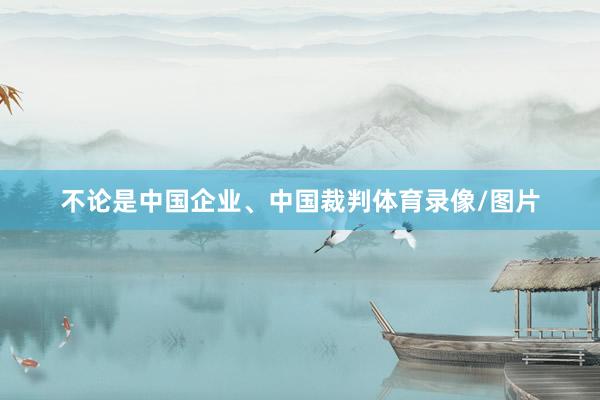 不论是中国企业、中国裁判体育录像/图片