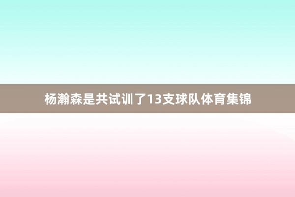 杨瀚森是共试训了13支球队体育集锦