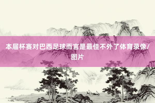 本届杯赛对巴西足球而言是最佳不外了体育录像/图片