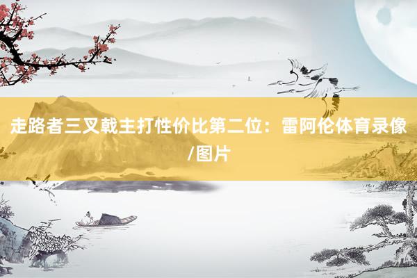 走路者三叉戟主打性价比　　第二位：雷阿伦体育录像/图片