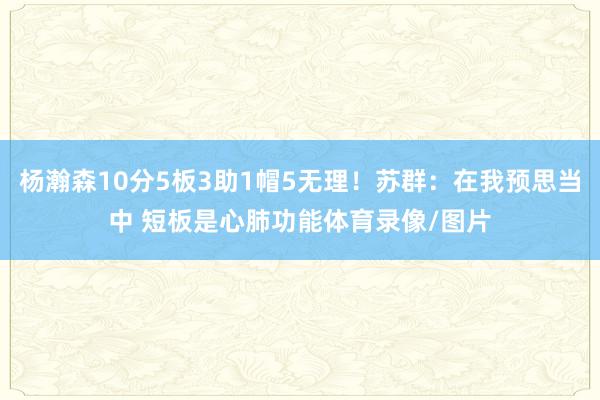 杨瀚森10分5板3助1帽5无理！苏群：在我预思当中 短板是心肺功能体育录像/图片