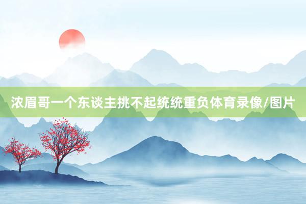 浓眉哥一个东谈主挑不起统统重负体育录像/图片