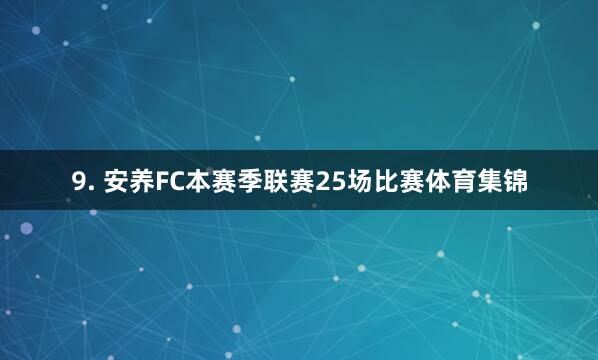 9. 安养FC本赛季联赛25场比赛体育集锦