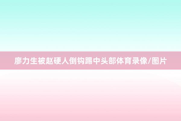 廖力生被赵硬人倒钩踢中头部体育录像/图片