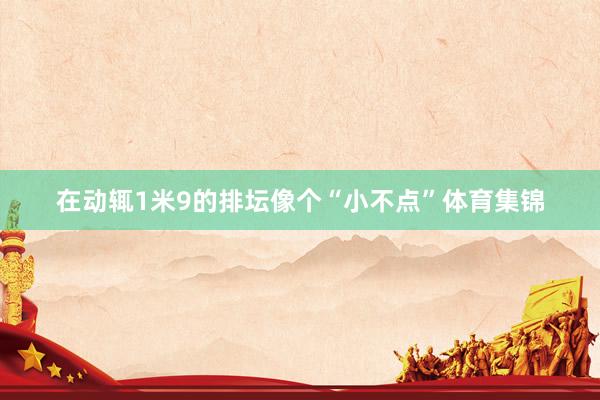 在动辄1米9的排坛像个“小不点”体育集锦