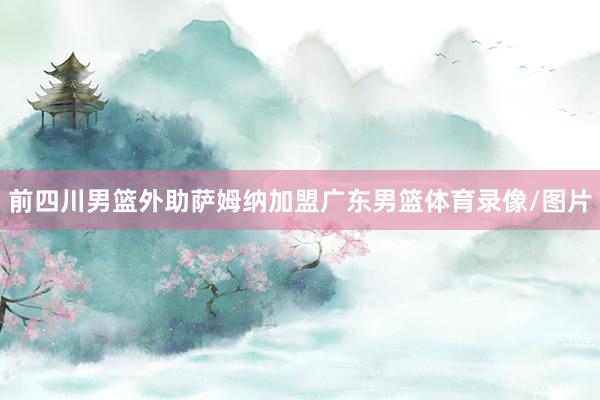 前四川男篮外助萨姆纳加盟广东男篮体育录像/图片