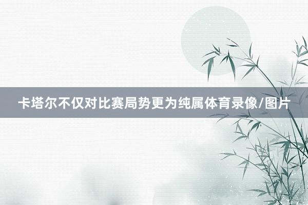 卡塔尔不仅对比赛局势更为纯属体育录像/图片