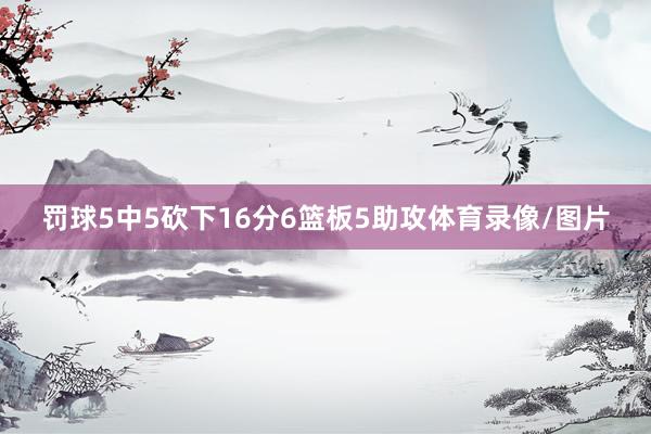 罚球5中5砍下16分6篮板5助攻体育录像/图片