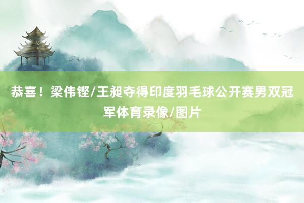 恭喜！梁伟铿/王昶夺得印度羽毛球公开赛男双冠军体育录像/图片