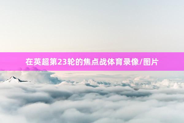 在英超第23轮的焦点战体育录像/图片