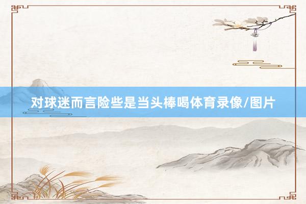 对球迷而言险些是当头棒喝体育录像/图片