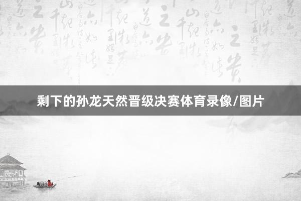 剩下的孙龙天然晋级决赛体育录像/图片