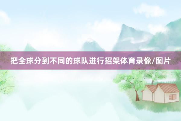 把全球分到不同的球队进行招架体育录像/图片