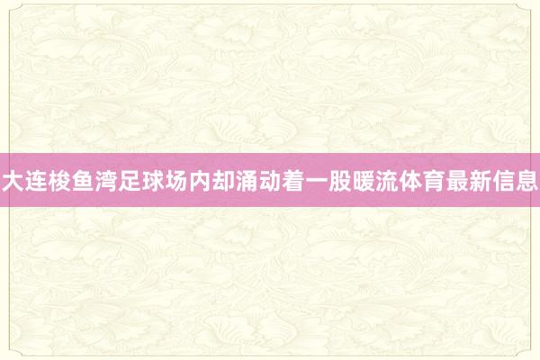 大连梭鱼湾足球场内却涌动着一股暖流体育最新信息